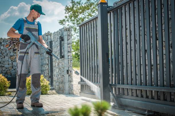 Best Solar Panel Cleaning  in Portland, MI