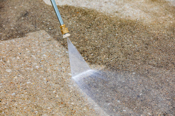 Best Boat and Dock Cleaning  in Portland, MI