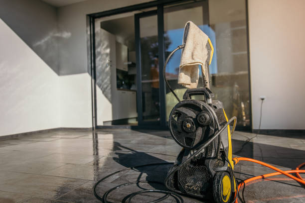 Best Roof Washing  in Portland, MI